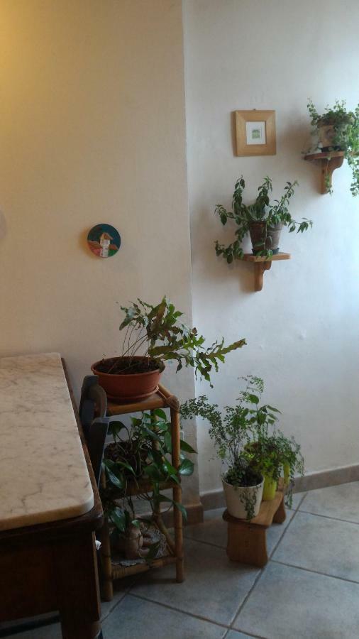 Il Gufo Pensatore Apartamento *