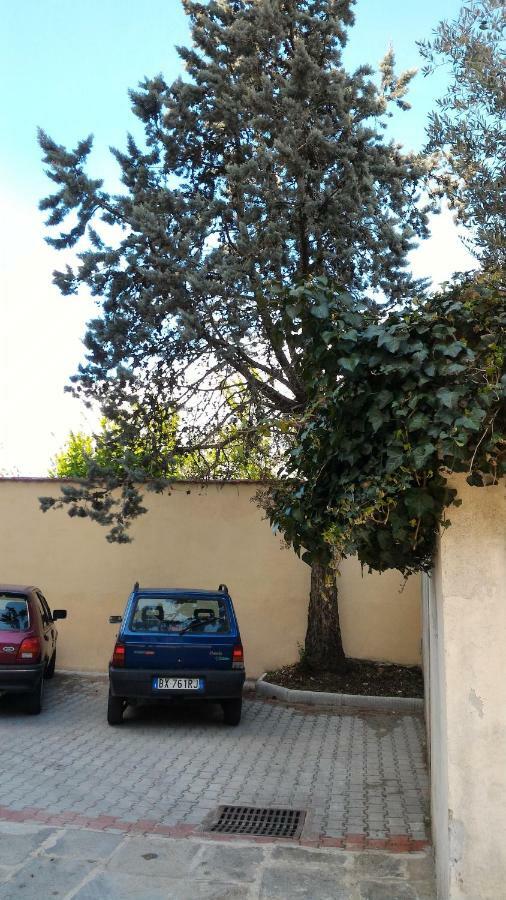 Il Gufo Pensatore Florencia