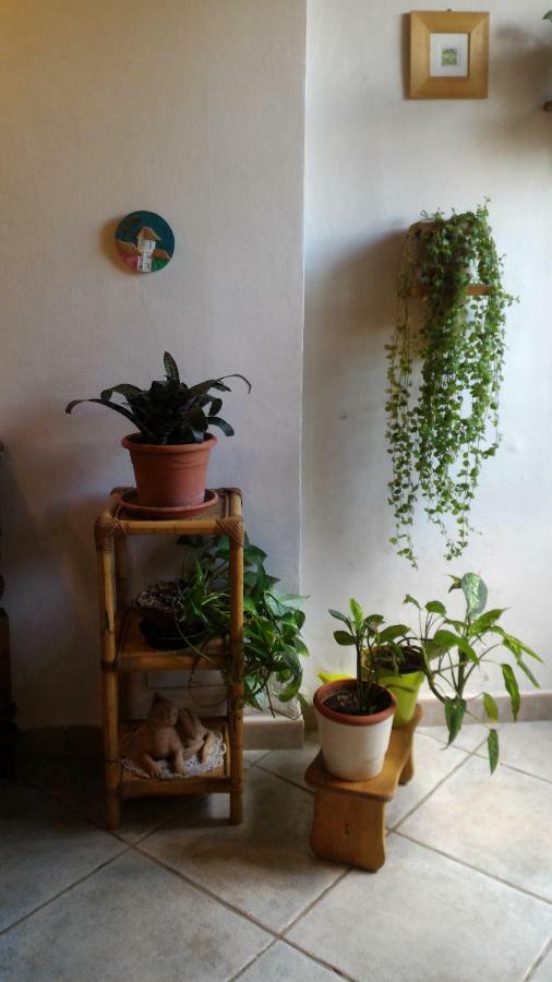 Il Gufo Pensatore Apartamento