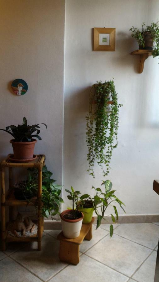 Apartamento Il Gufo Pensatore
